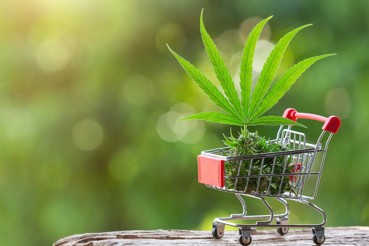 atest cannabis news in Thailand