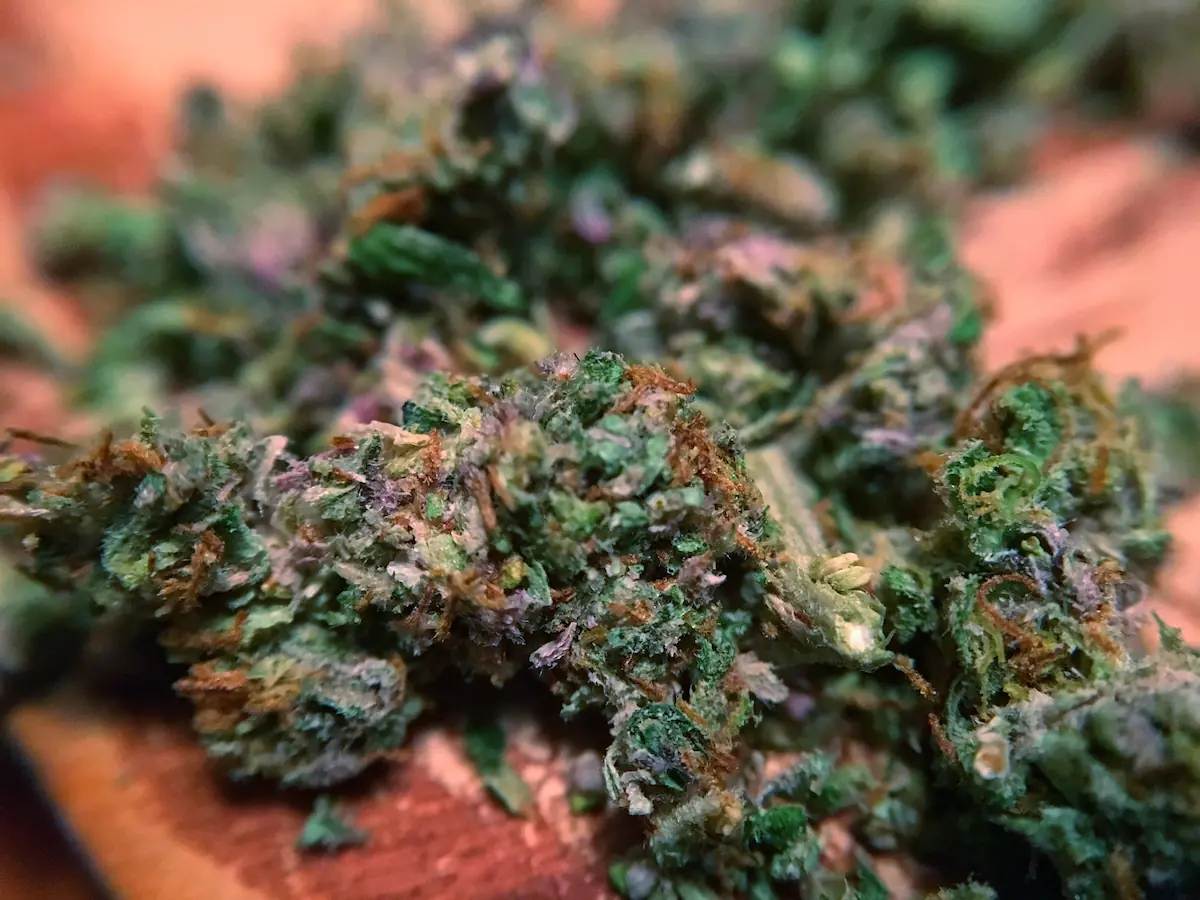 Cannabis strains grown in Thailand